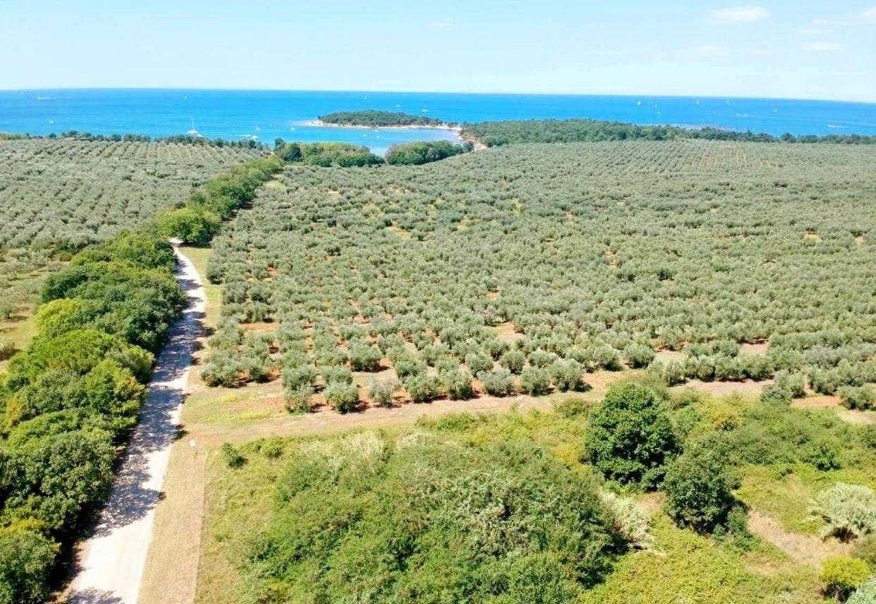 Apartments Vojvoda Πόρετς Εξωτερικό φωτογραφία